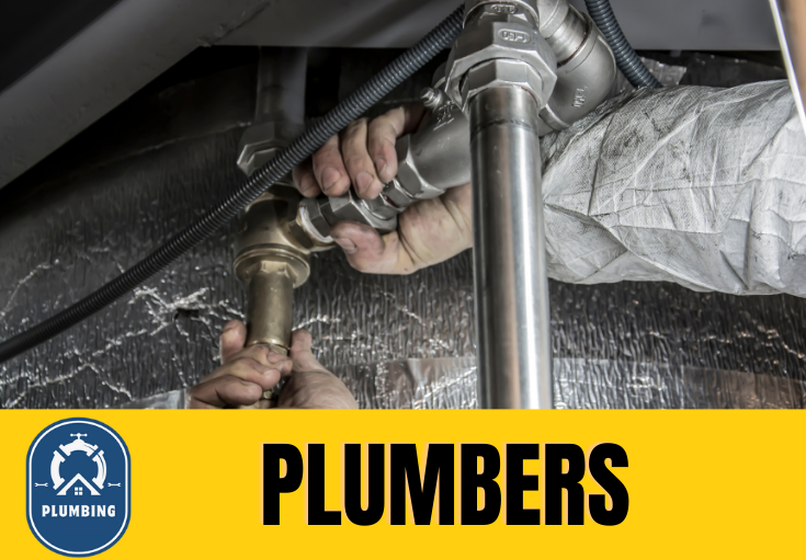  plumber Swinley